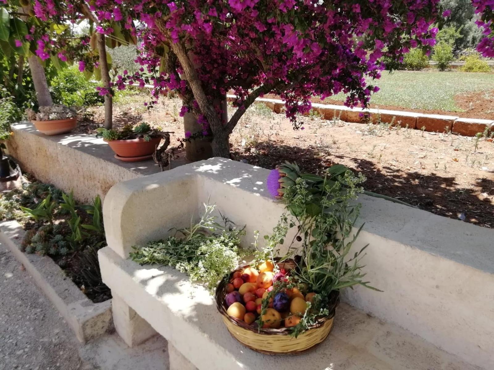Residenza "I Tre Carrubi " Villa Fasano Bagian luar foto