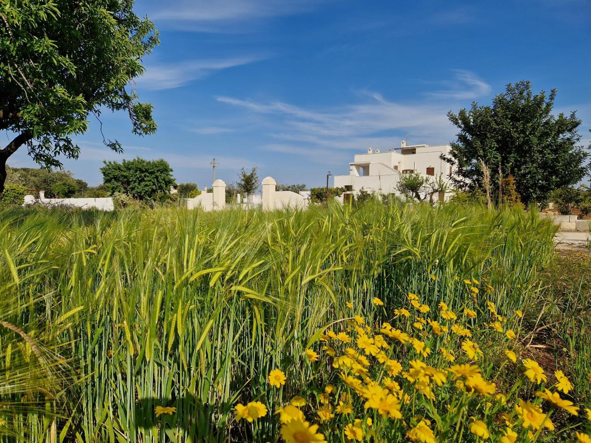 Residenza "I Tre Carrubi " Villa Fasano Bagian luar foto